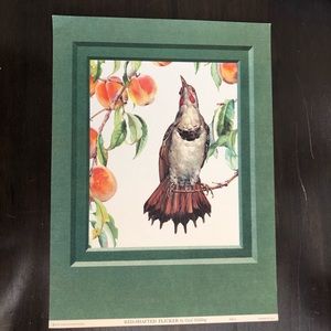VINTAGE Litho CECIL GOLDING Red-Shafted Flicker